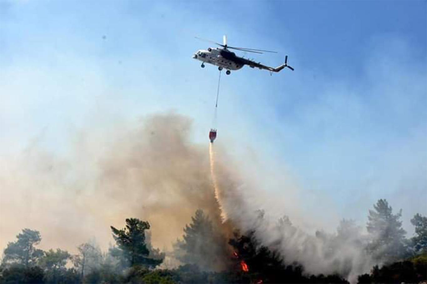 İzmir ve Muğla'da ormanlık alanda yangın!